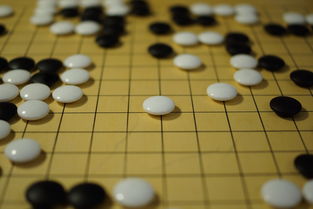 开云体育官网app-世界围棋赛青年选手战术成熟引热议，2020世界围棋